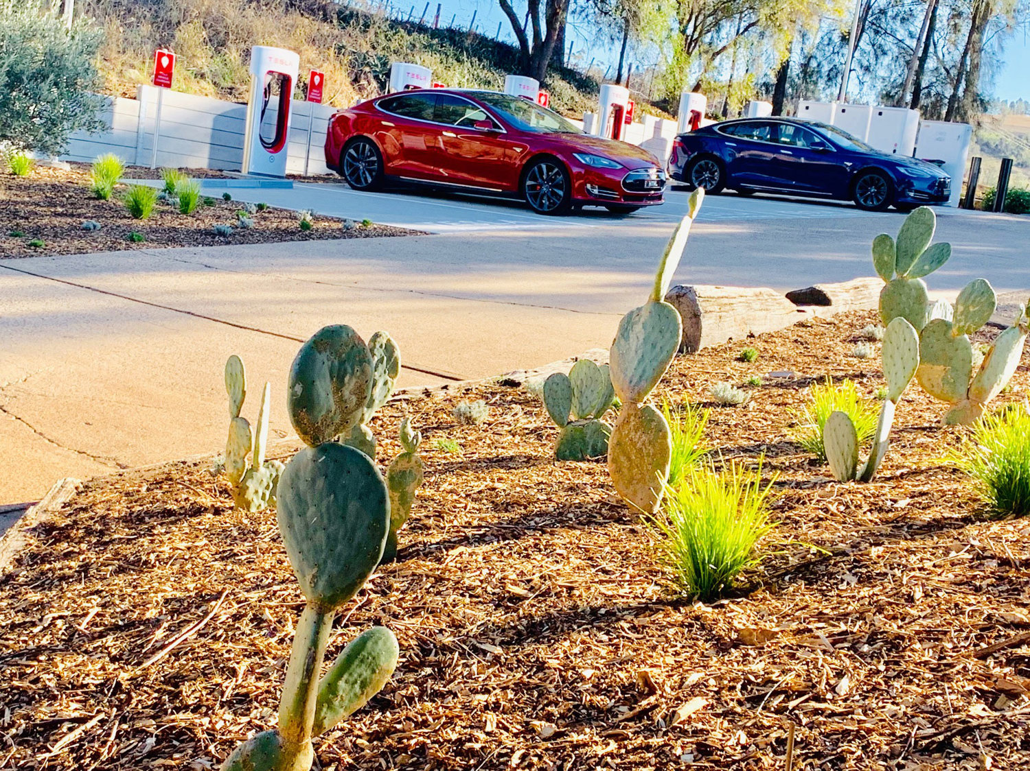 Landscaping at Hollydene Estate vineyard