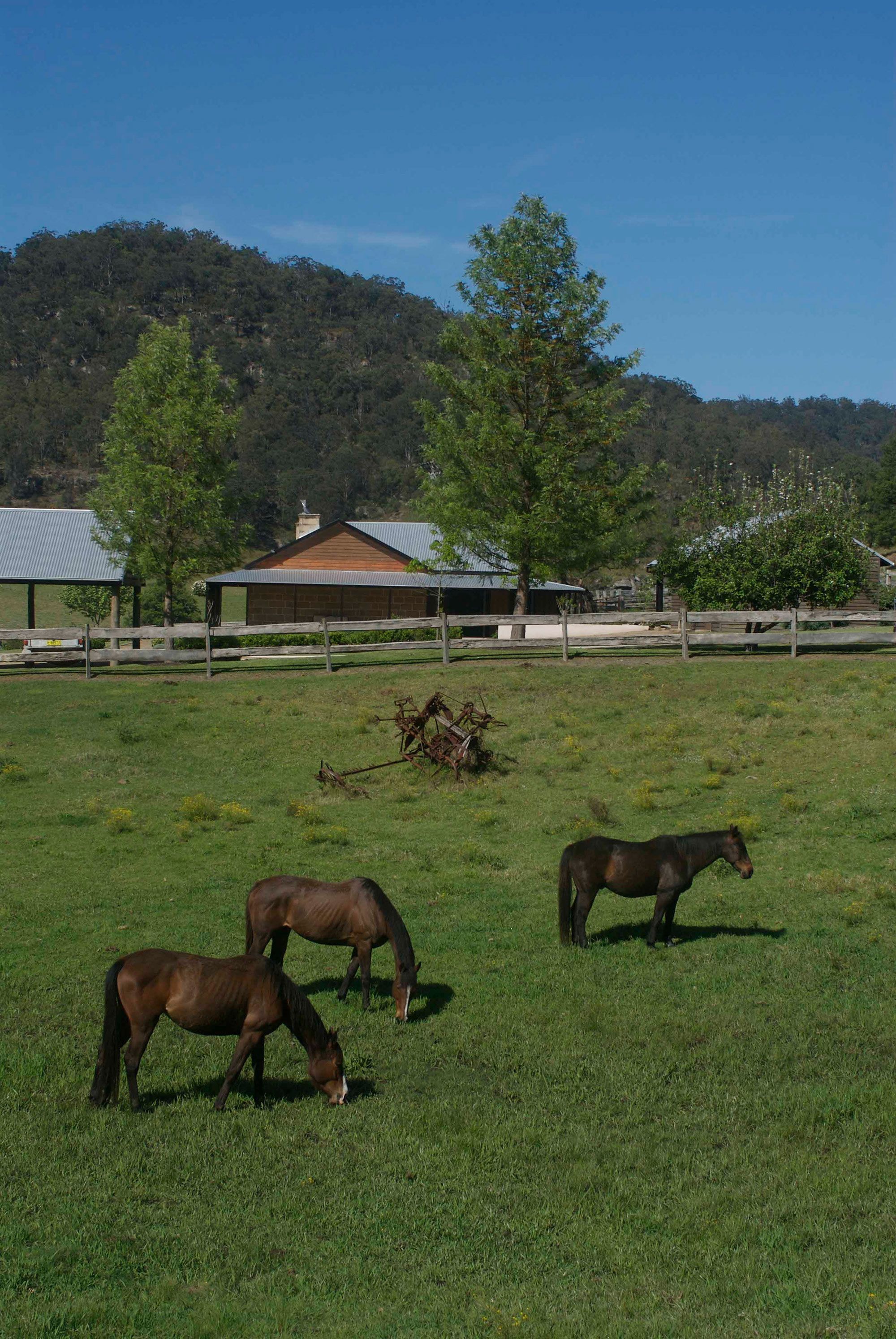 Wollombi